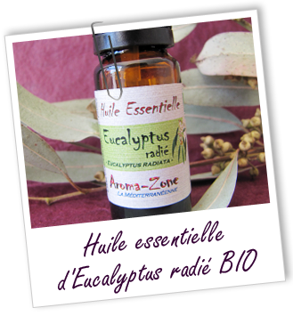 huile essentielle eucalyptus radié Aroma-Zone huile essentielle eucalyptus radié Aroma-Zone