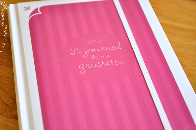 Le journal de ma grossesse