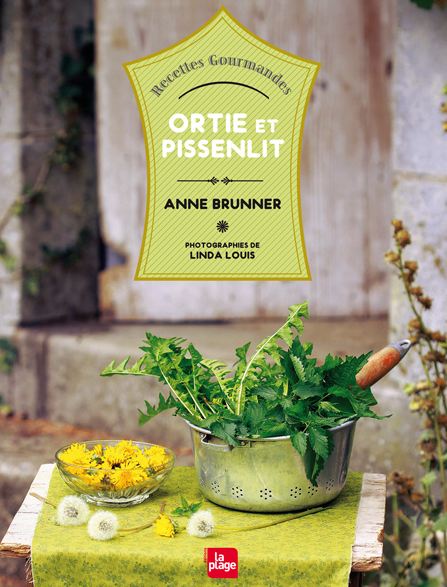 Ortie et pissenlit Ortie et pissenlit